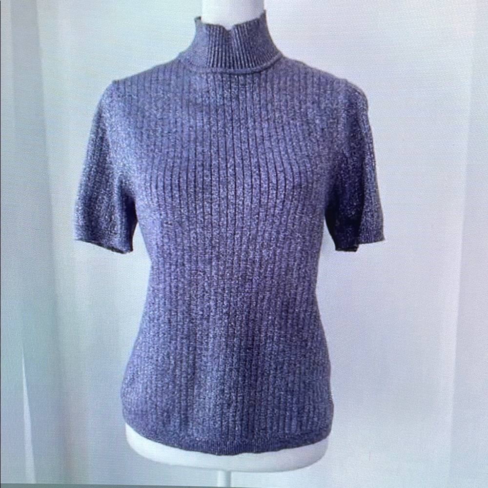 Metallic Ribbed Short Sleeve Sweater